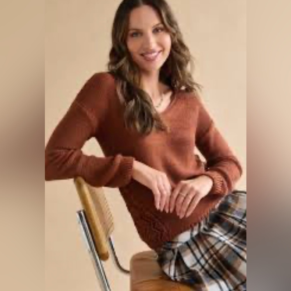 Francesca's Collections Chestnut V-Neck Sweater